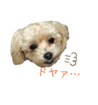 愛ゆえにver.3（個別スタンプ：16）