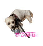 愛ゆえにver.3（個別スタンプ：23）