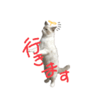 うめきち時々ぷるこ（個別スタンプ：21）