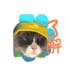 うめきち時々ぷるこ（個別スタンプ：23）