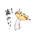 さんじょう！ かざぐるマタ郎（個別スタンプ：31）