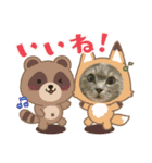 ふつうのねこですが（個別スタンプ：11）