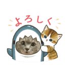 ふつうのねこですが（個別スタンプ：15）