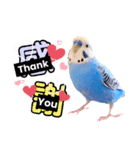 空くん.*（個別スタンプ：3）