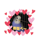 わんこかたルンバ（個別スタンプ：3）