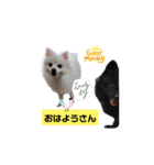 わんこかたルンバ（個別スタンプ：10）