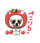 わんこかたルンバ（個別スタンプ：30）