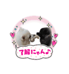 わんこかたルンバ（個別スタンプ：31）