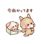 冬☻いぬっこstamp（個別スタンプ：13）