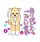 仲良しな犬の挨拶【元気猫シリーズ】（個別スタンプ：10）