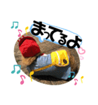 うちのぷ〜ちゃん④（個別スタンプ：22）