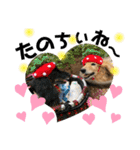 うちのぷ〜ちゃん④（個別スタンプ：29）