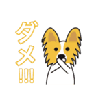 秋田ワンコと仲間達の日常 その3（個別スタンプ：3）