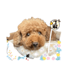 ロキ君（忠犬）第6段（個別スタンプ：5）