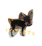 ミニピンのしおたんくん（個別スタンプ：2）