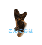 ミニピンのしおたんくん（個別スタンプ：18）