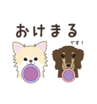 ポメチワみたらしさん3（個別スタンプ：3）