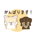 ポメチワみたらしさん3（個別スタンプ：4）