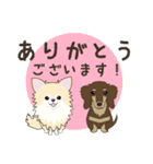 ポメチワみたらしさん3（個別スタンプ：8）