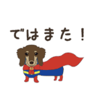 ポメチワみたらしさん3（個別スタンプ：9）