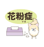 ポメチワみたらしさん3（個別スタンプ：15）