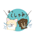 ポメチワみたらしさん3（個別スタンプ：16）