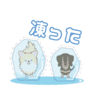 ポメチワみたらしさん3（個別スタンプ：18）