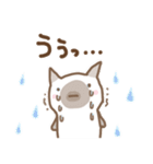 あすPさんちのねこさま  いゔさまスタンプ（個別スタンプ：20）