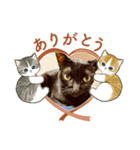 気楽な猫暮らし（個別スタンプ：2）