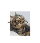 気楽な猫暮らし（個別スタンプ：6）