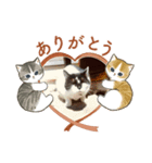 気楽な猫暮らし（個別スタンプ：8）