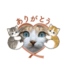 ティガー❤️ララ❤️リリ❤️様❤️リクエスト（個別スタンプ：17）