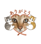 ティガー❤️ララ❤️リリ❤️様❤️リクエスト（個別スタンプ：18）