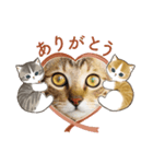 ティガー❤️ララ❤️リリ❤️様❤️リクエスト（個別スタンプ：19）