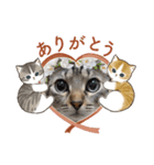 ティガー❤️ララ❤️リリ❤️様❤️リクエスト（個別スタンプ：20）