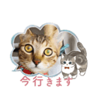ティガー❤️ララ❤️リリ❤️様❤️リクエスト（個別スタンプ：29）