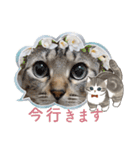 ティガー❤️ララ❤️リリ❤️様❤️リクエスト（個別スタンプ：30）