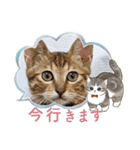 ティガー❤️ララ❤️リリ❤️様❤️リクエスト（個別スタンプ：31）