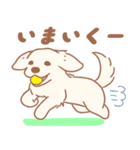 わんこだらけ！【犬の日】（個別スタンプ：17）