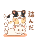 わんこだらけ！【犬の日】（個別スタンプ：28）