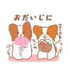 わんこだらけ！【犬の日】（個別スタンプ：33）