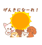 わんこだらけ！【犬の日】（個別スタンプ：34）