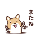 普通の柴犬たろう（個別スタンプ：4）