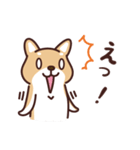 普通の柴犬たろう（個別スタンプ：5）