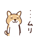 普通の柴犬たろう（個別スタンプ：6）