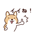 普通の柴犬たろう（個別スタンプ：10）