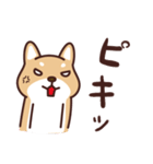 普通の柴犬たろう（個別スタンプ：13）