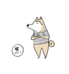 柴犬太郎4（個別スタンプ：5）