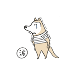 柴犬太郎4（個別スタンプ：14）