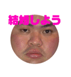 トミさんスタンプゥ（個別スタンプ：2）